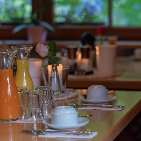 Hotel&Restaurant Grüner Baum - Die Grüne Oase Am Feldberg-3