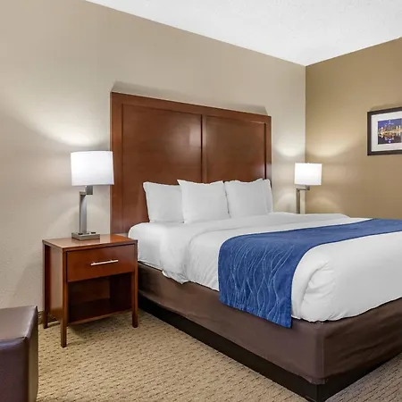 Comfort Inn Near Greenfield Village-2