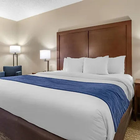 Comfort Inn Near Greenfield Village-3