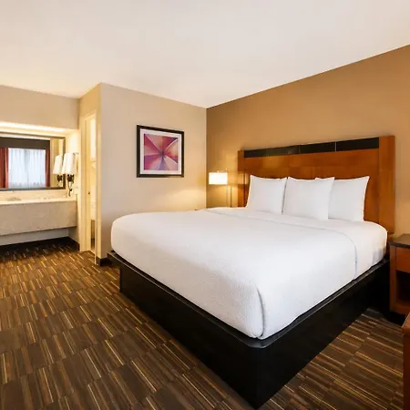 Best Western Executive Inn-3