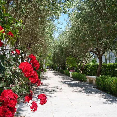 Borgo Primizia-2