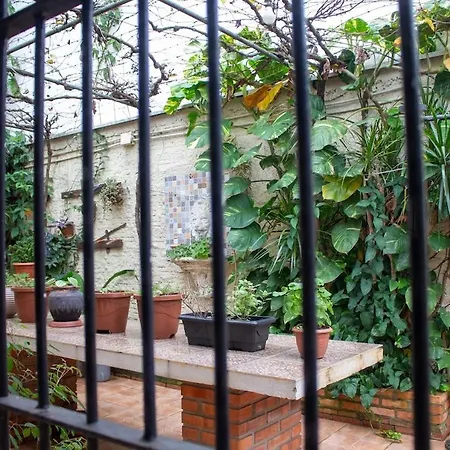 casa das flores-3