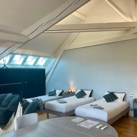 Demeure Saint Louis Historic Manor, Air-Conditioned, Free Private Parking, City 700M, Wifi, View-3