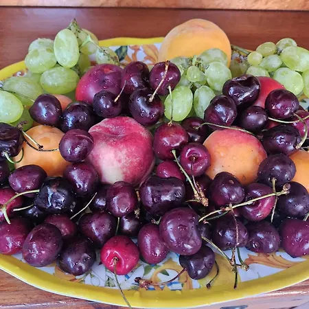 Bed&Breakfast Delle Palme-2