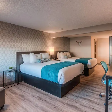 The Hotel Y, A Dazzler Select By Wyndham-3