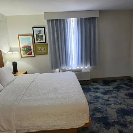 Hampton Inn & Suites Morgan City-3