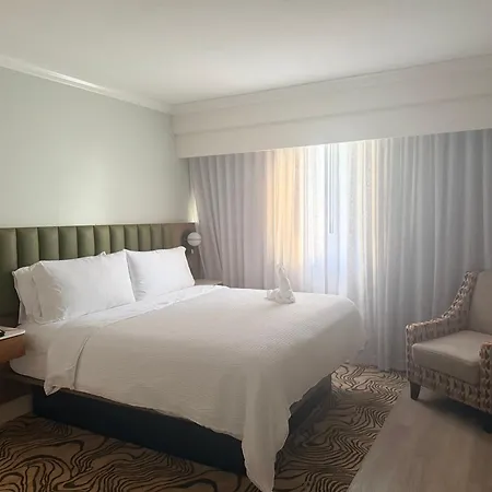 Holiday Inn Houston Downtown By Ihg-2