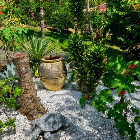 BUNGALOW La Tortue Bleue-2