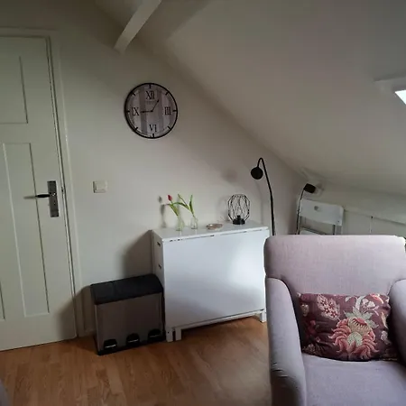 Een Klein Appartementje Zonder Keuken In Het Centrum Sleep At Hamtingh'S-2