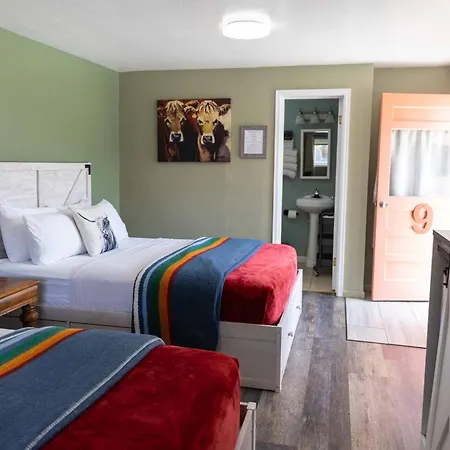 Lodge At Poncha Springs-2