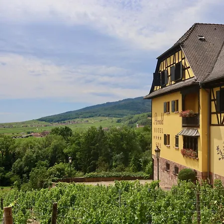 Hôtel Arnold-2