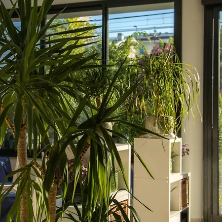 Hotel Maioli B&B-2