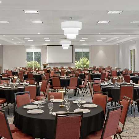 Hilton Garden Inn Greensboro Airport - Newly Renovated!-3