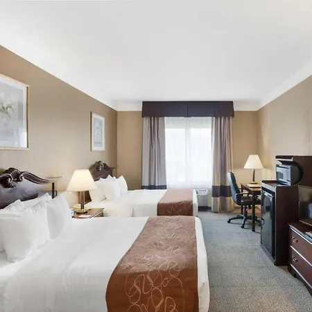 Comfort Suites Plainview-2
