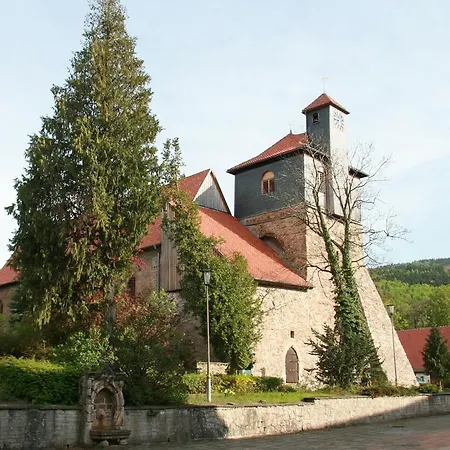 Kurpark Hotel Im Ilsetal-2