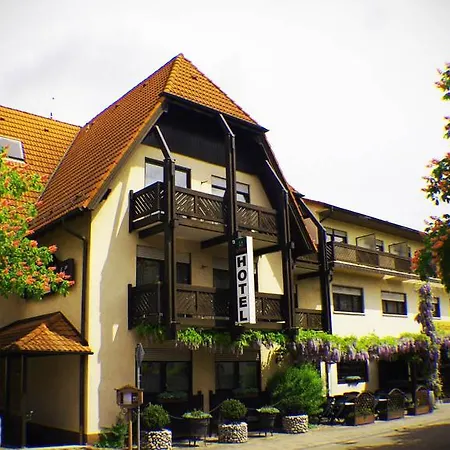 Hotel Waldparkstube-2