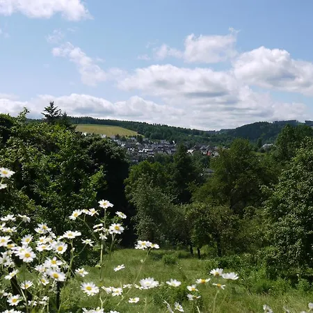 Parkhotel Schwarzenberg - Garni-3