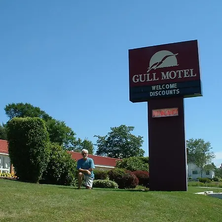 The Gull Motel, Belfast-2
