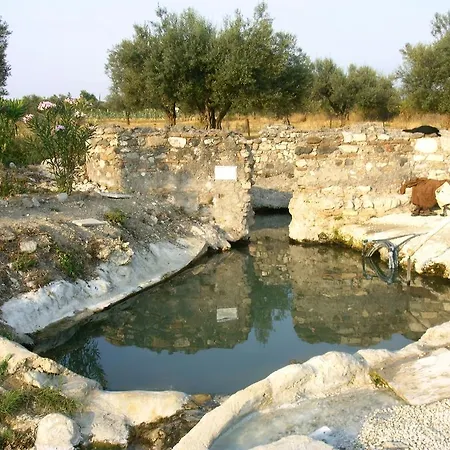 Forum Cassii-2