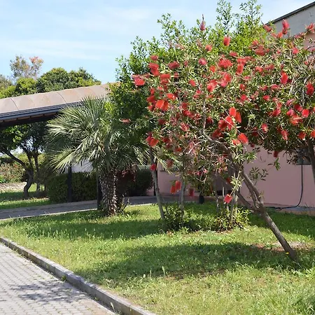 Hotel Phalesia-3