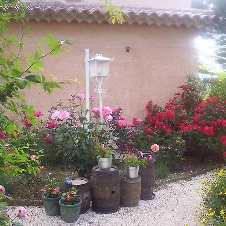 Les Glycines-3