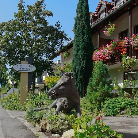 Hotel Neumayr-2