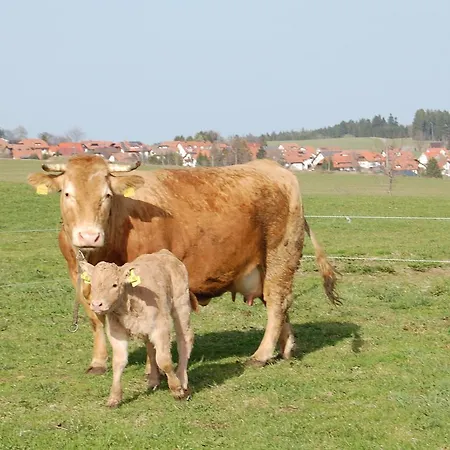 Landgasthaus Engel - Naturparkwirt-2