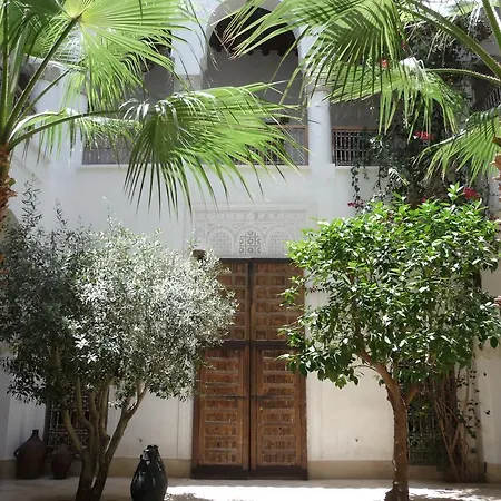 Riad Matham-2