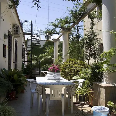 B&B Cactus-2