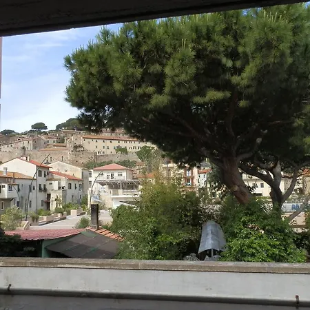 Cav Brunella-2