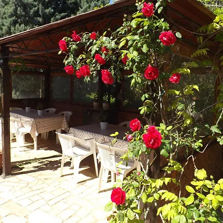 B&B Villa Lena-3