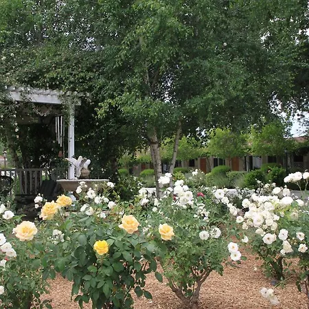 Meadowlark Inn-2