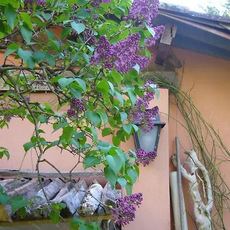 La Maison De Melen-2