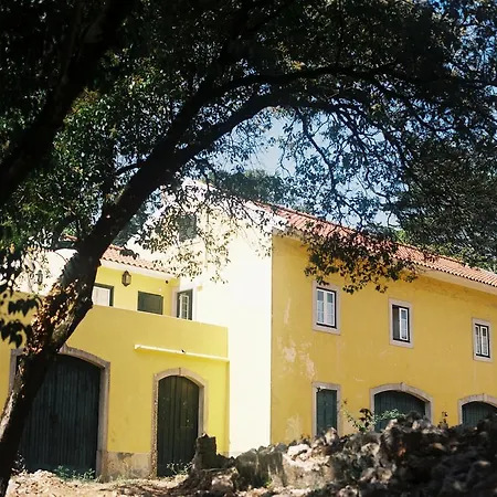 The Five House-3