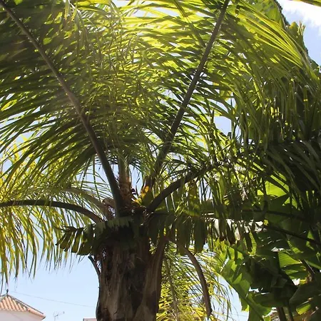 Hotel California-2