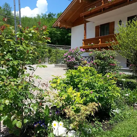 Tourist Hotel Boehm-3