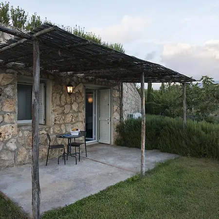 Collina Degli Ulivi B&B-3