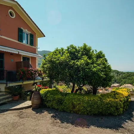 Le Clementine B&B-2