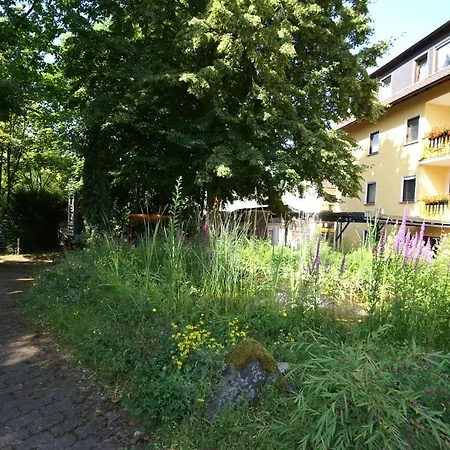 Hotel Weidenau-3