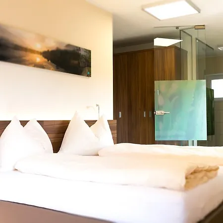 Hotel Aichingerwirt-3