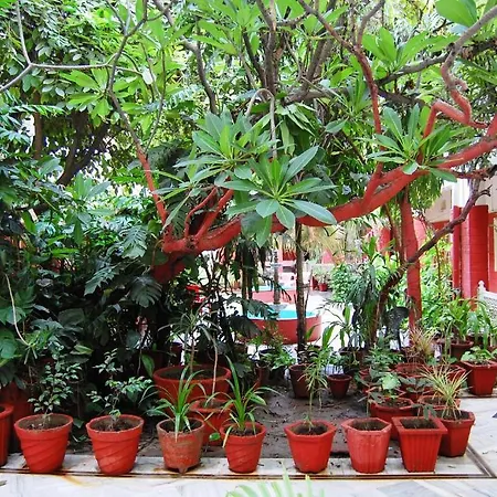 Hotel Tourist Rest House Agra-2