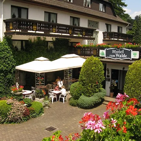 Hotel Zum Walde-3