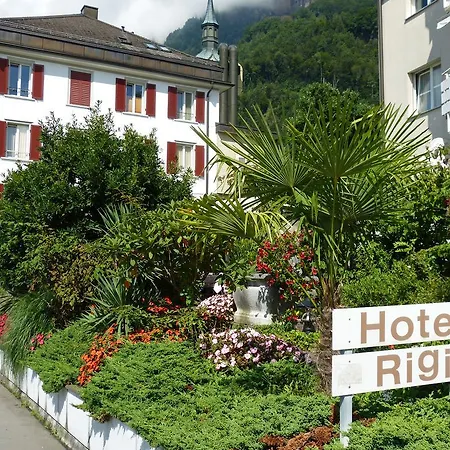 Hotel Rigi Vitznau-2