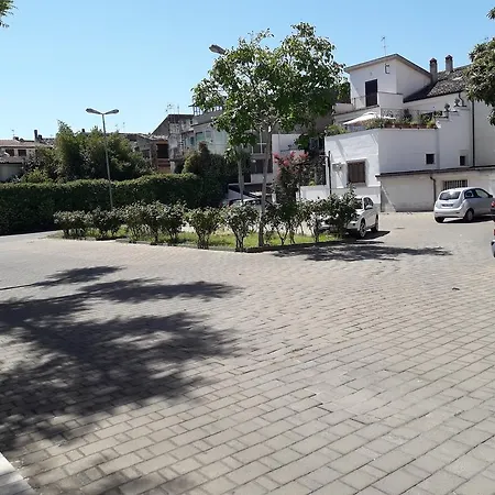 Hotel Jolly-2