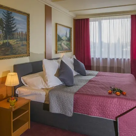 Top Hotel Praha-2