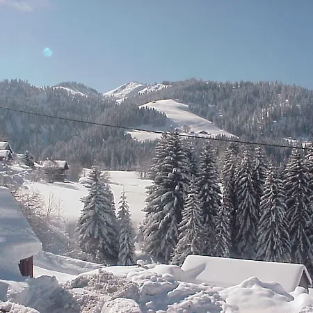 Hotel Le Tetras-2