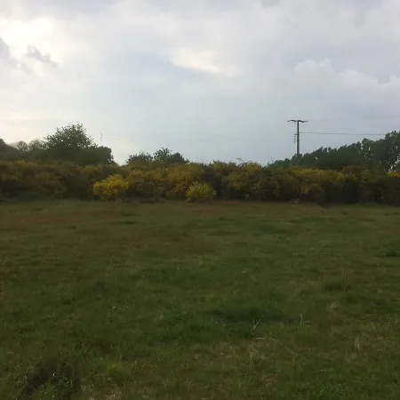 Au Parc Aux Lievres-3