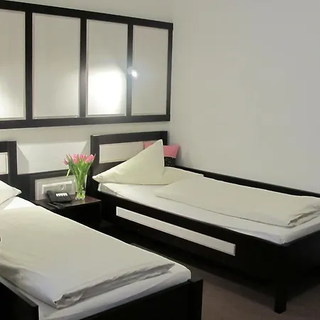 Hotel Anlage Heidelberg-2