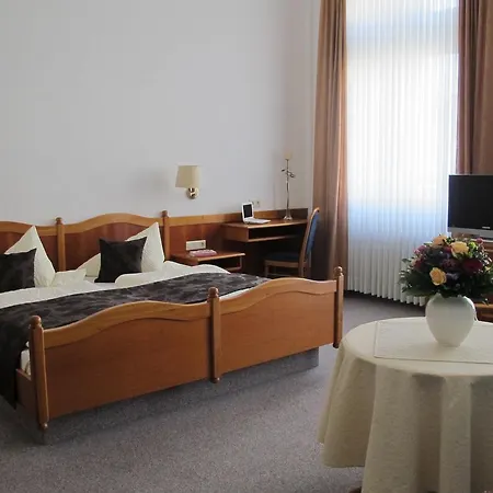 Hotel Anlage Heidelberg-3