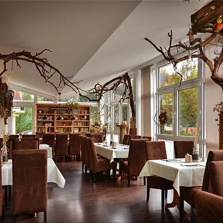 Hotel Zur Linde-2